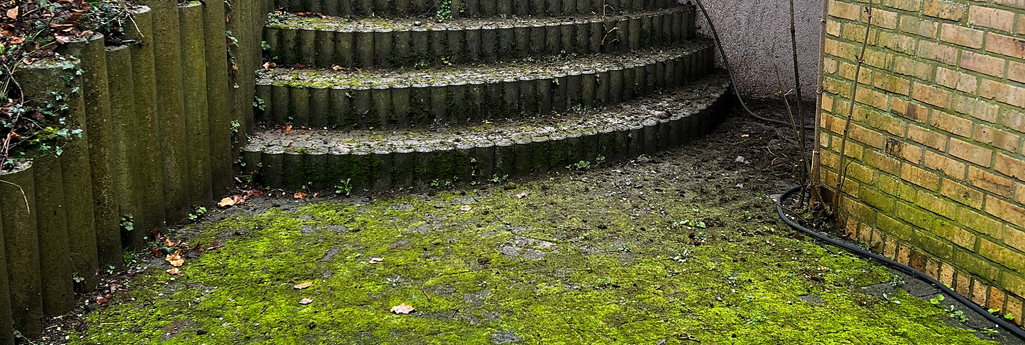 Allée extérieure en klinkers envahie par la mousse avant nettoyage professionnel à Overijs - TopClean