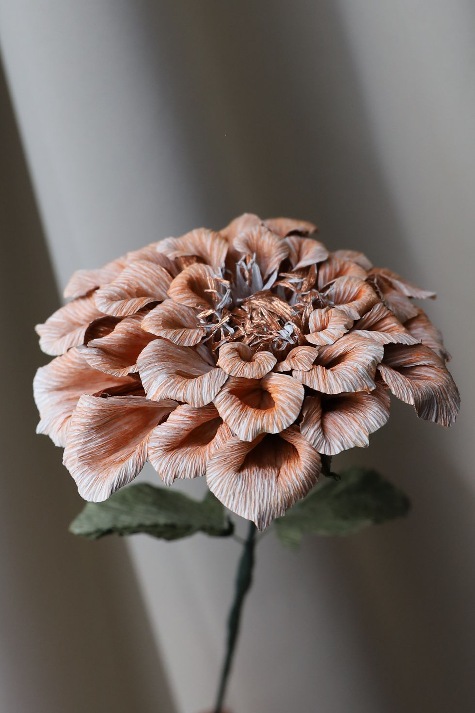 Miniature : DAHLIA