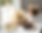 DSC_4289_edited.png