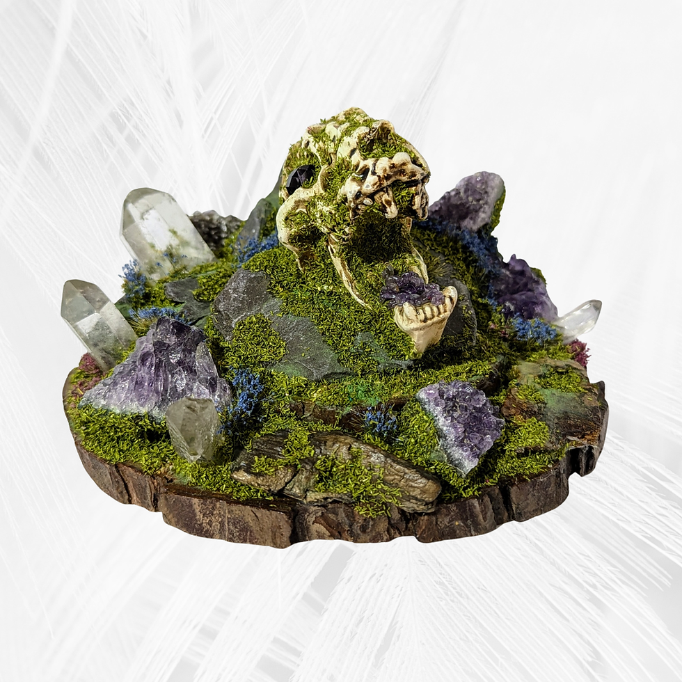 Thumbnail: The Amethyst Grotto