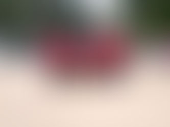 Campeonato Colonial Chave B/Copa Distribuidora de Bebidas do Alemão - Rodada do Estrela da Solidez