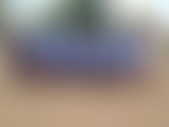 Campeonato Colonial Chave B - Classificação e estatísticas 