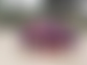 Campeonato Colonial Chave B - Jogos de volta e estatísticas 