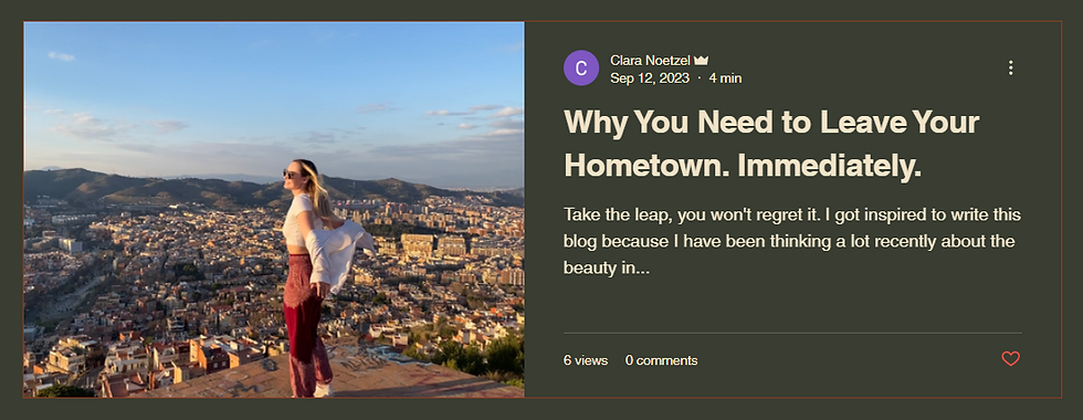 Travel Blog Post 1.png