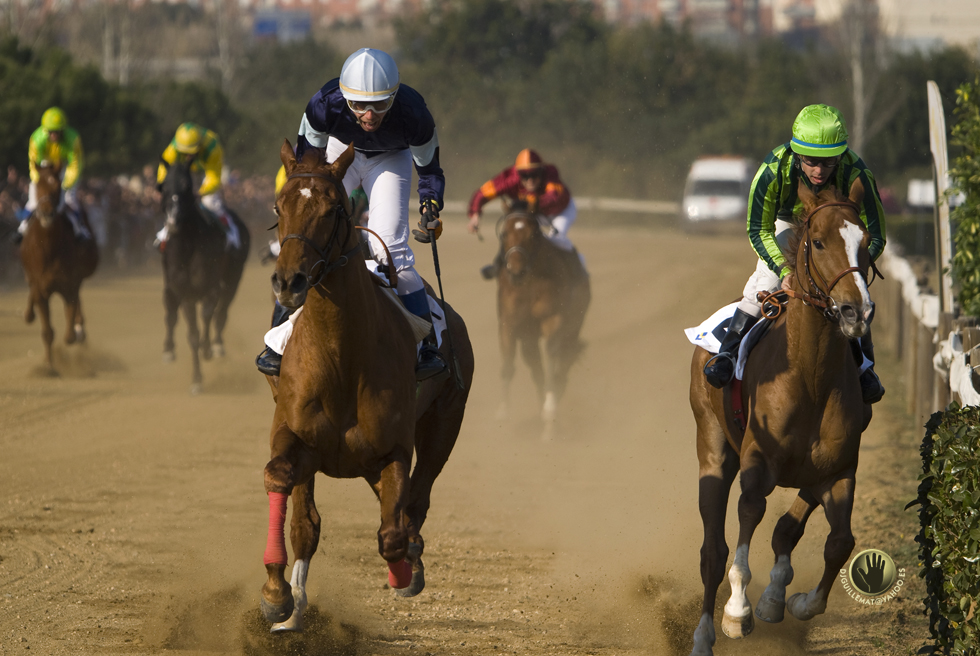 CURSA DE CAVALLS DE SANT ANTONI