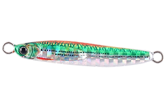 26-Gマイワシ.png