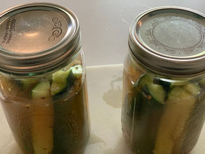 Easy Homemade Refrigerator Dill Pickles