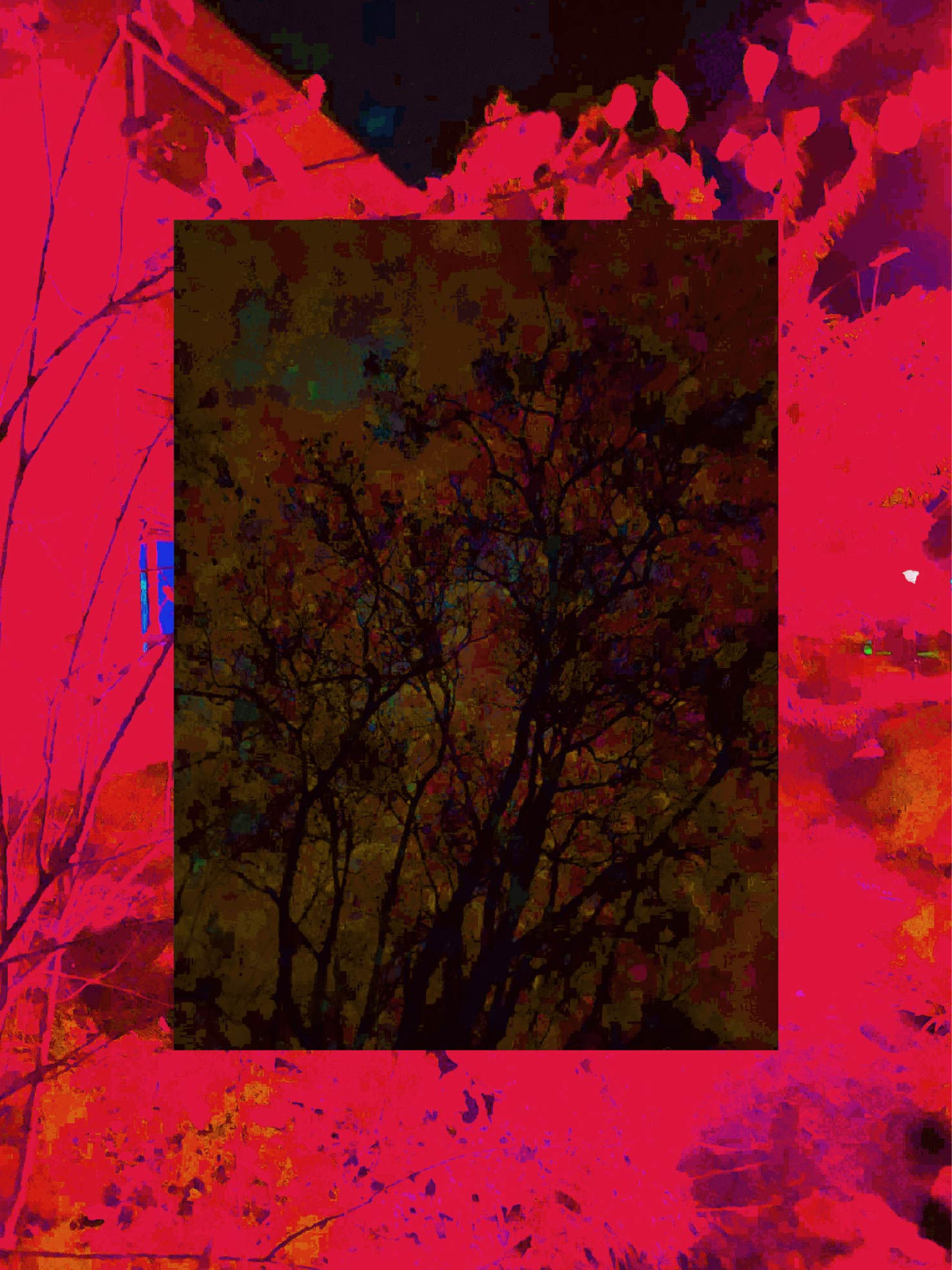 a-05-00-202112