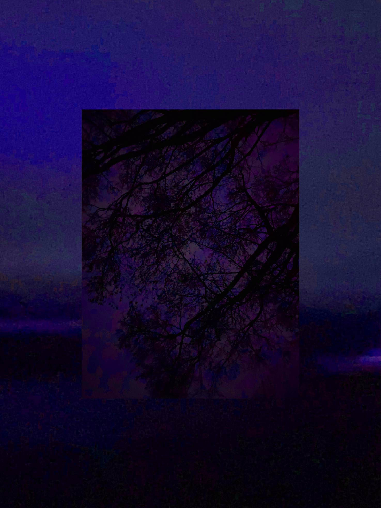 a-04-02-202112