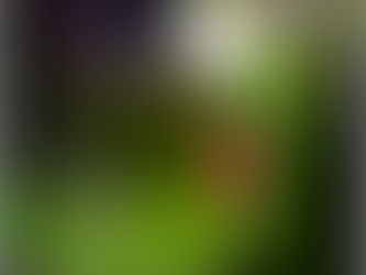 En mai, rêve à ce qu'il te plaît !