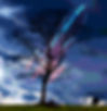 RocketTree#2.jpg