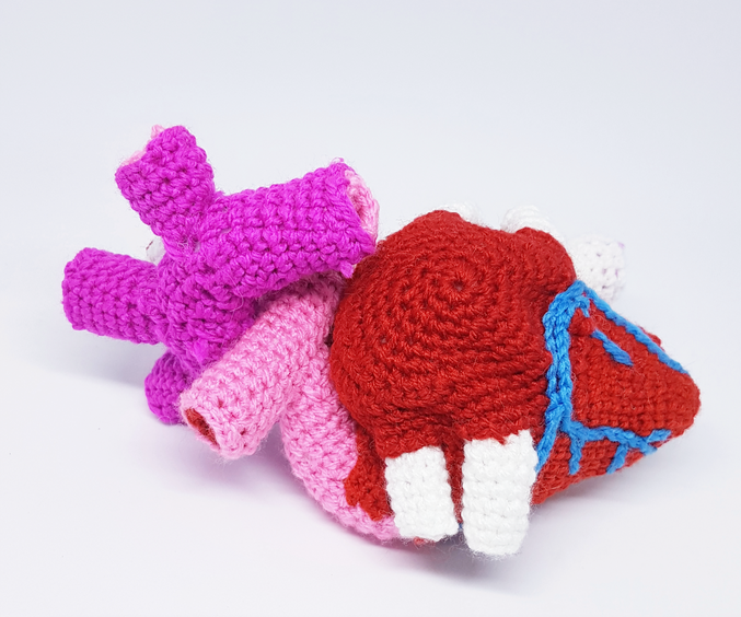 A red, white, blue and two tones of pink, crocheted heart. It is anatomically based, rather than a fanciful heart.  It has the arteries coming out of it. 