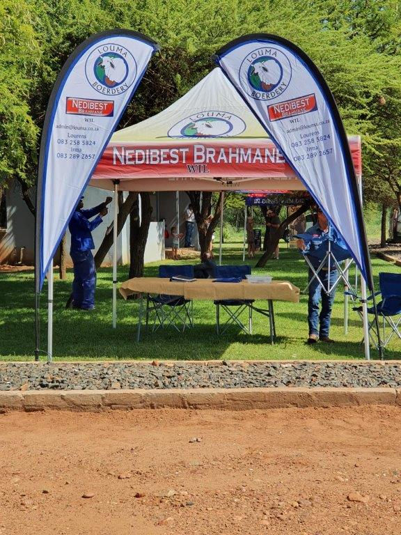 Louma Nedibest Brahman