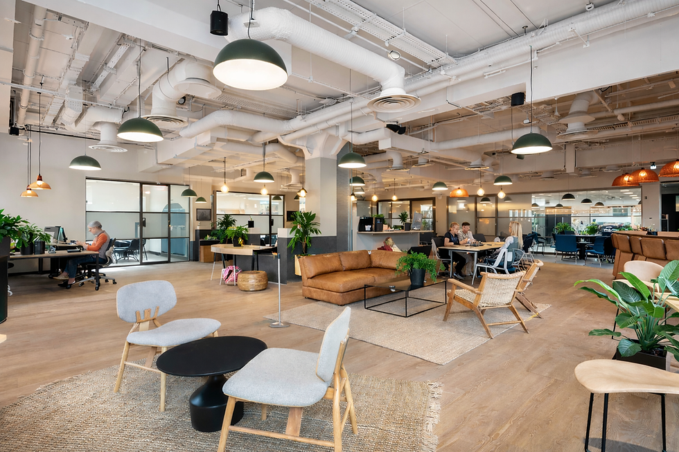 ChatGPT Image Feb 13, 2026, 01_31_27 PM.png