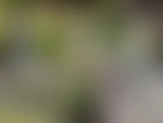 entrertenir une pierre tombale