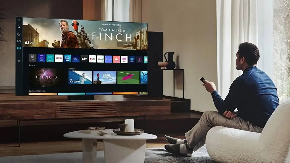 TV or video projector.