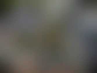 Tombe envahie par la mousse ou les salissures