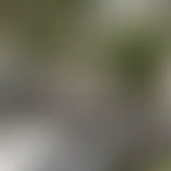 Pierre tombale abîmée : que faire et qui contacter ?