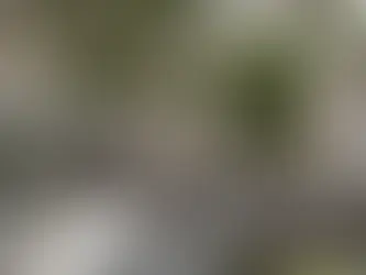 Pierre tombale abîmée : que faire et qui contacter ?