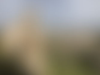 Balkan Deresi Churches