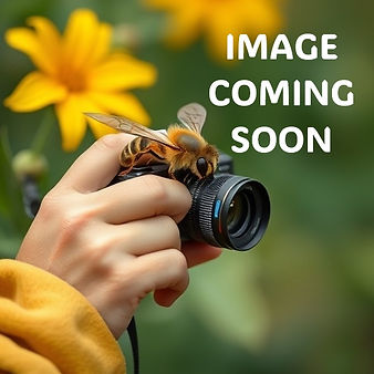 IMAGE COMING SOON.jpg