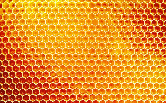 beehive.jpg