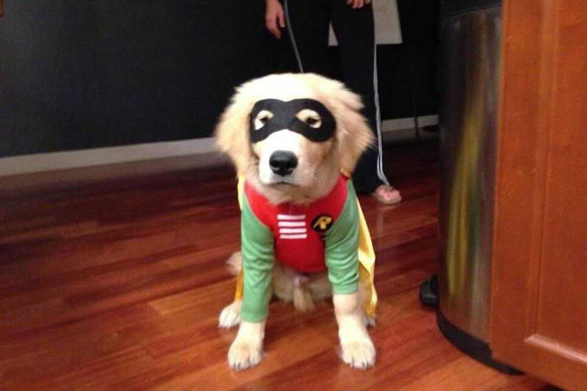 Dog Halloween Parade & Costume Contest