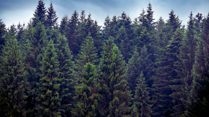 Schnegga Soge Silvestertal Valle San Silvestro Toblach Dobbiaco