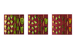 "Veggie Life Cycle," color photography, 2021, 13"x19"