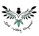 bvo logo.jpg