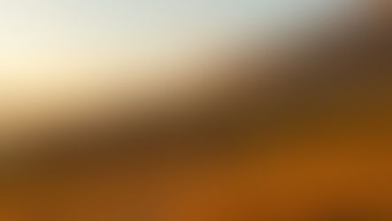 Summery South Coast Elopement