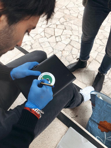 gemelli roma.jpeg