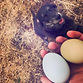In the growing conversation about food quality and human health, pasture-raised poultry has taken center stage—not just for its ethical and environmental appeal, but for its measurable nutritional advantages. Chief among these benefits is the improved fat profile of chickens raised on pasture.
