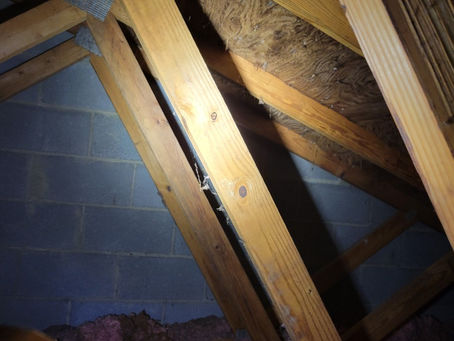 1981 Attic with Dissolving Sheathing