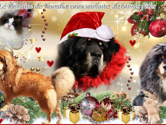 JOYEUSES FÊTES