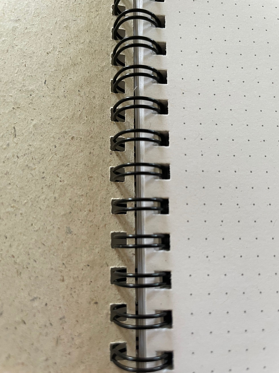 Thumbnail: Sunflower grass paper notebook