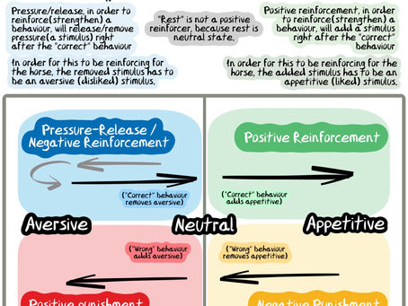 Why Pressure & Release and Rest is not Positive Reinforcement.