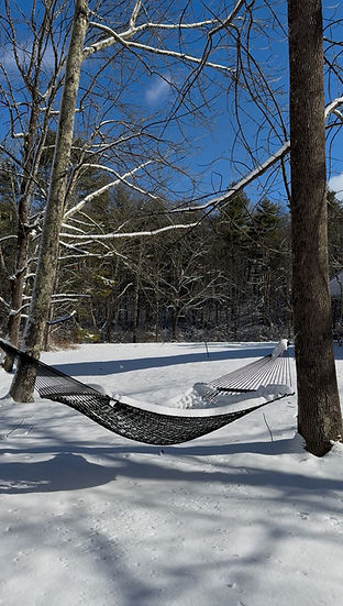 Hammock in winter