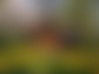 Мошенники готовят массовые атаки на владельцев участков в СНТ