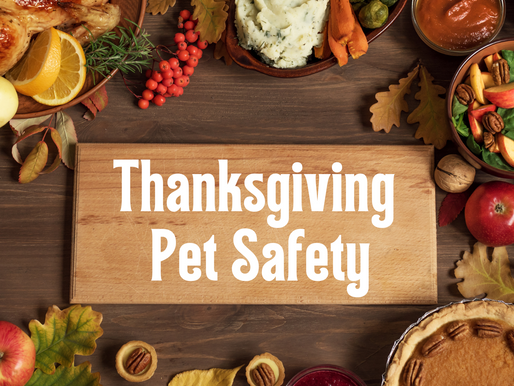 Thanksgiving Pet Safety