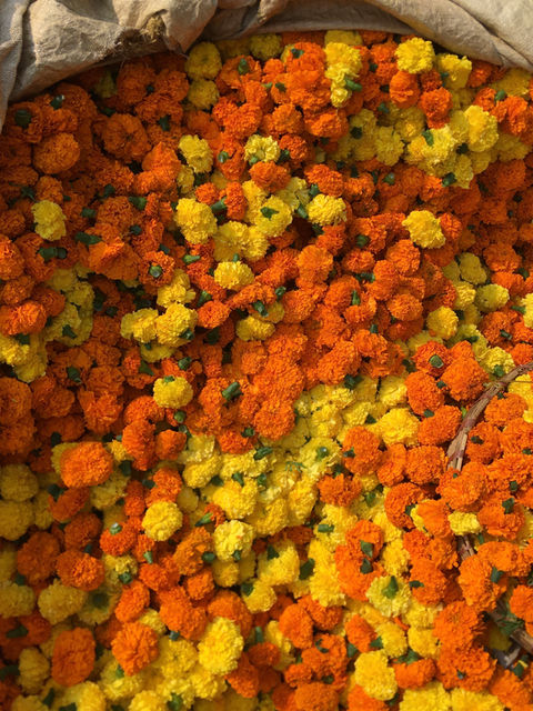 yoga Kremlin-Bicêtre