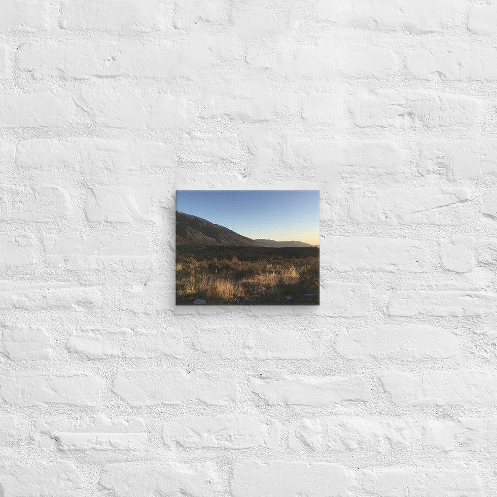 Thumbnail: Sunset in the Mountain Plains - Canvas