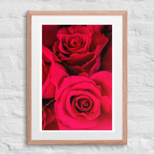 Roses Are Red - Framed Photo w/ Mat | Citrus Fruit Photography