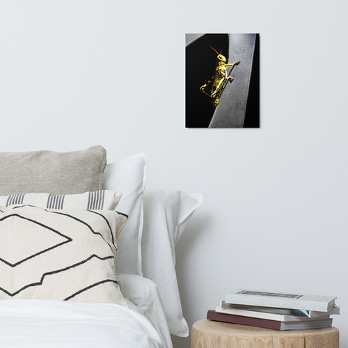 Grass-hopping - Metal Photo | Citrus Fruit Photography