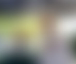 R$ 200 MIL NA CONTA DO MUNICÍPIO PARA RECUPERAÇAO DA ESTRADA NANUQUE-VILA PEREIRA, VIA FAZ. VENEZA