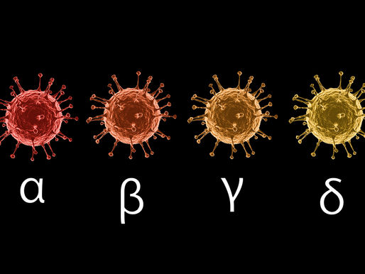 IDENTIFICADAS DUAS CEPAS DO NOVO CORONAVÍRUS CIRCULANDO NOS VALES DO MUCURI E JEQUITINHONHA