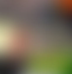 LOZIM PROPÕE REFORMA DE BICICLETAS PARA DOAÇÃO A CRIANÇAS E JOVENS DE BAIXA RENDA