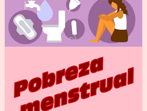 LOZIM PROPÕE POLÍTICA PÚBLICA MUNICIPAL DE COMBATE À POBREZA MENSTRUAL EM NANUQUE