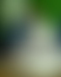 JOSÉ OSVALDO INDICA PROJETO PARA GARANTIR MAIOR TRANSPARÊNCIA NOS GASTOS PÚBLICOS