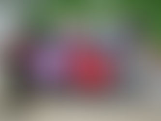 PRESIDENTE DO PT-MG TEVE AGENDA LOTADA DE COMPROMISSOS EM NANUQUE NO SÁBADO (18/6)